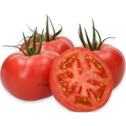 Pomidor Kawaguchi  100 N    RZ